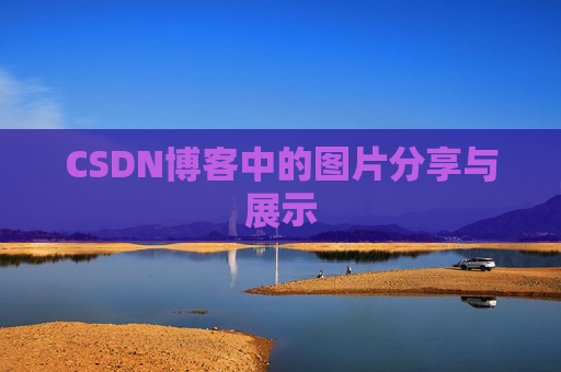 CSDN博客中的图片分享与展示